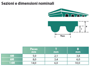 cinghie dentate